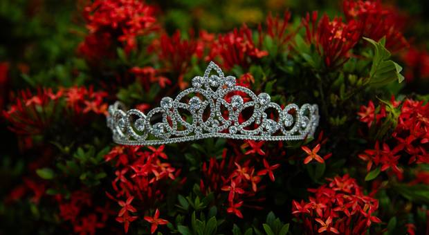 Debutante de Festa de 16 anos da Júlia 