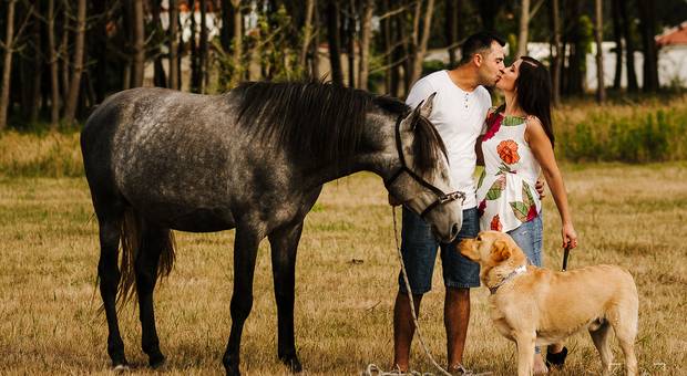 Pré-Casamento de Sessão de Solteiros・Adriana・Miguel・São Caetano + Costa Nova