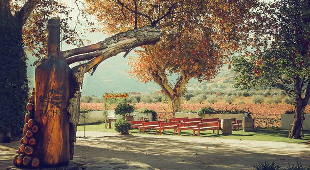 Casamentos de Dastination Wedding - Cynthia & Lino