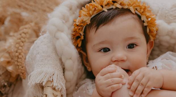 Família de Ensaio Bianca