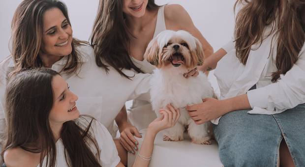 Família de Ensaio em Família