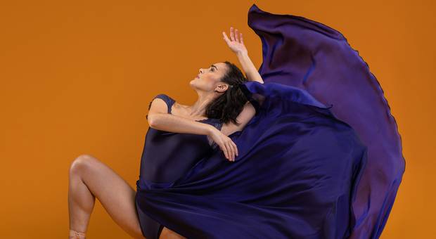 Autoral de Arte, cores e movimentos!