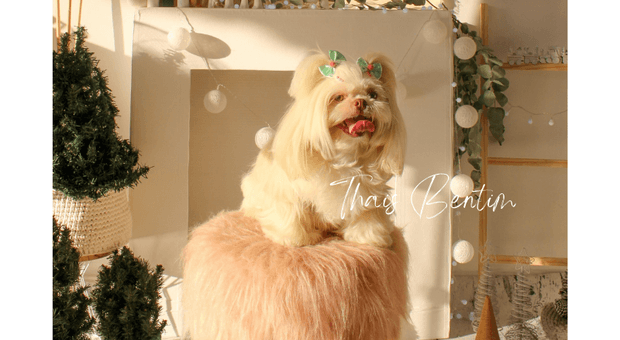 Natal de Tânia Alves