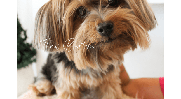 Natal de Wilza Vieira