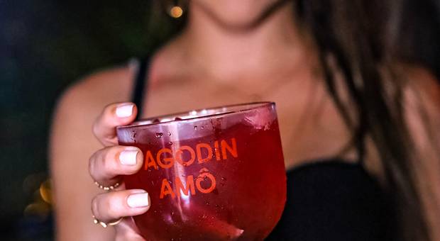 Eventos de Pagodin Amô - Pink Elephant Campinas