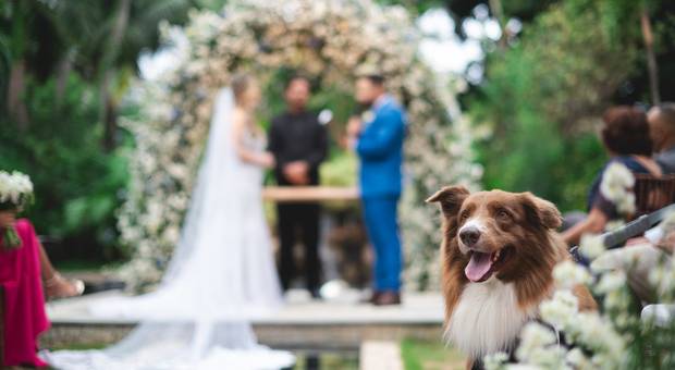 Fotografia de Casamento no Rio de Janeiro de Stephany e Fabio
