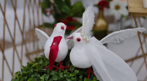 Casamento de Casamento Cida e Zé Luiz