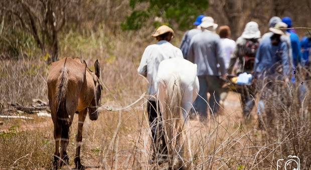 Publicidade de Saída de Campo | Curso de Biologia UFPI