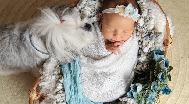 Newborn de Antônia 15 dias