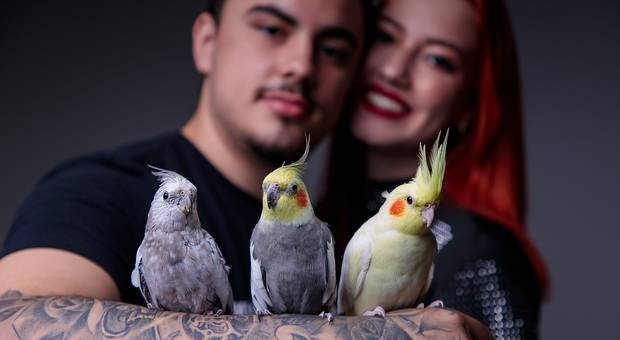 CASAL de LETÍCIA E LUCAS