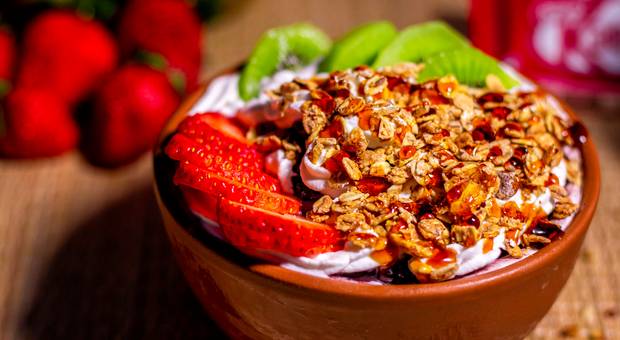 ALIMENTO de TOCA DO AÇAÍ