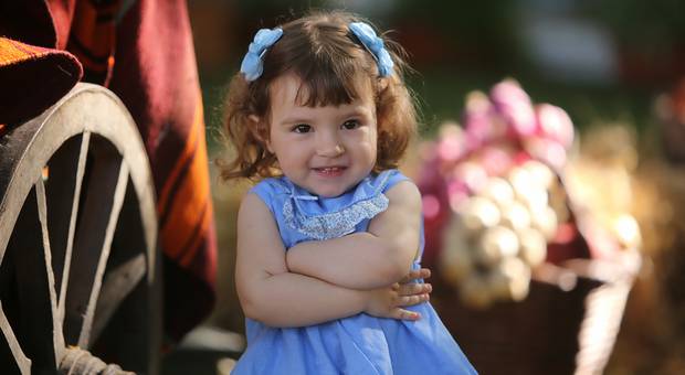 Estúdio de Sessões de fotografia, em Estúdio ou no Exterior 