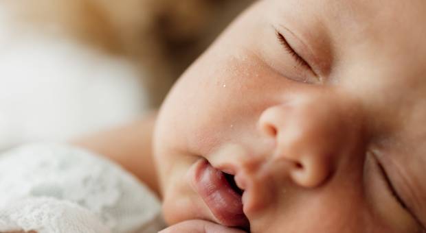 Newborn de Newborn Elisa