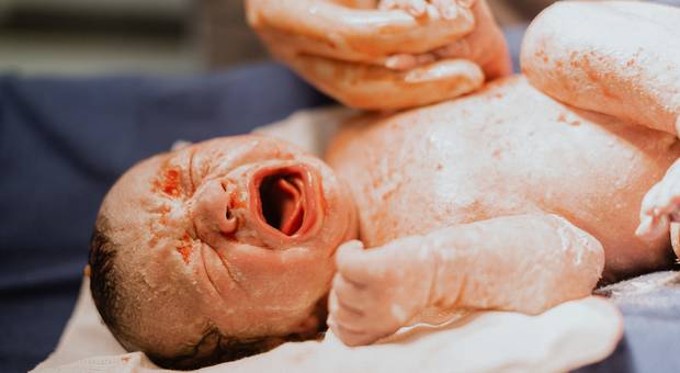 Nascimento de Nascimento • Vicente - Maternidade Brígida