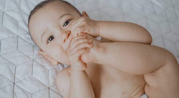 Projeto Morada de Um ano do Joaquim