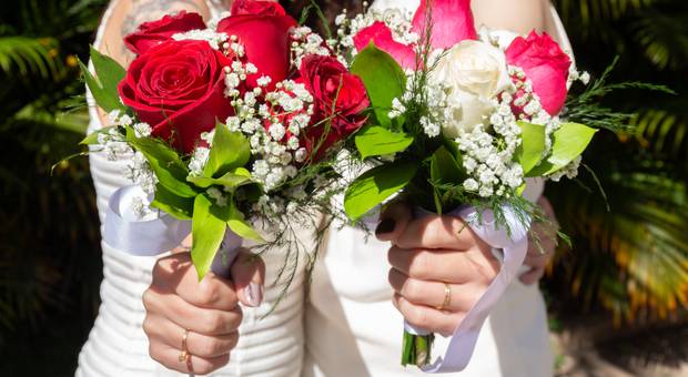 casamento no civil de Rayne e Carol