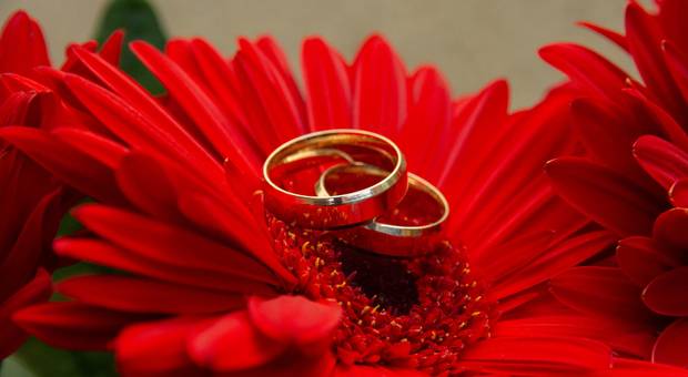 1º Cartorio de Registro Civil de Everton e Jenifer