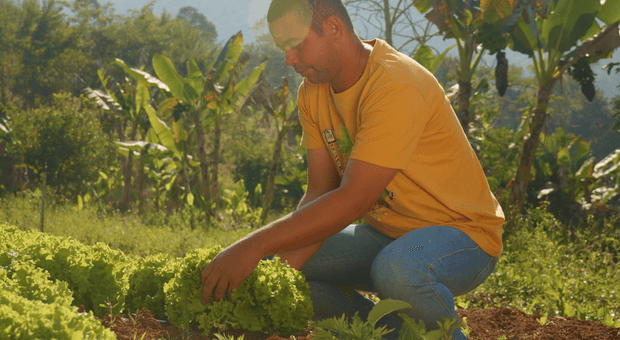 Institucional de Quem é Ouro Preto? Partido dos trabalhadores