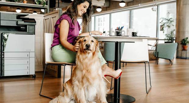 Marca Pessoal de Ensaio Marca Pessoal - Fernanda 