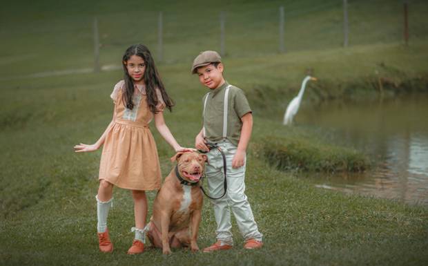  Ideias de Acessórios Naturais para Ensaio Externo: Simples e Criativas