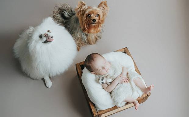 Como comecei a fotografar bebês