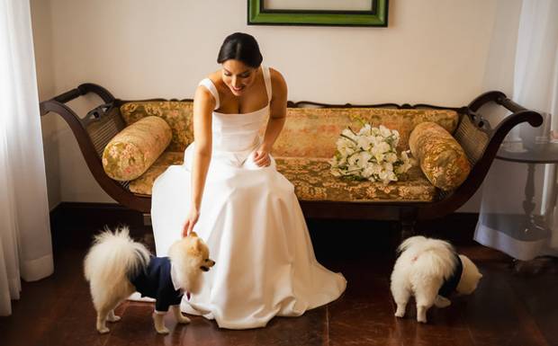 Casamentos com pets: por que eles merecem estar no seu álbum?