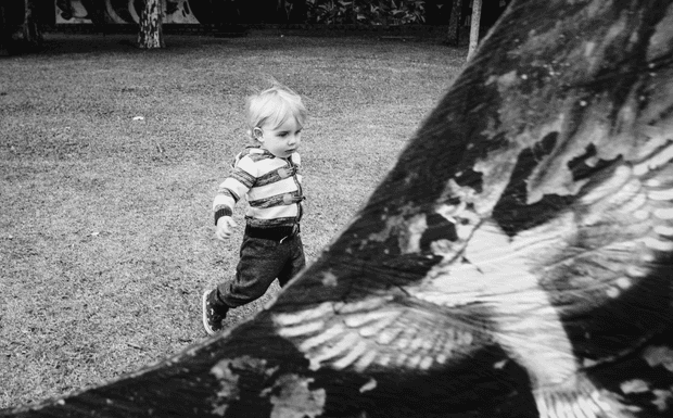 Diário fotográfico da infância - acompanhamento infantil