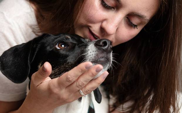 Dia das Mães e a Polêmica das Mães de Pet