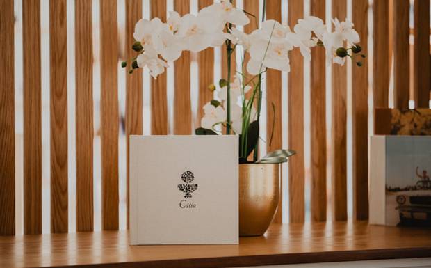 Álbum de Dedicatórias