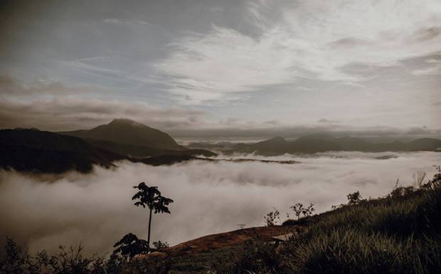 Looks para seu Ensaio de Casal: Harmonizando com a Natureza: