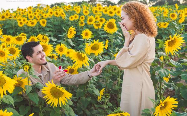 Como Fazer um Pedido de Casamento surpresa em Holambra