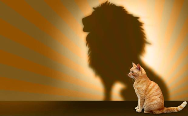 O Poder da Fotografia Redes Sociais