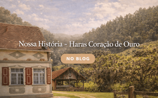Nossa História – Haras Coração de Ouro | Pousada Rural em Anitápolis SC