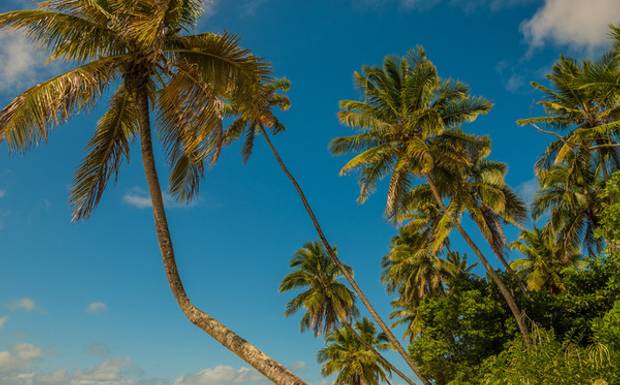  Boipebar é literalmente sentir-se no paraíso.