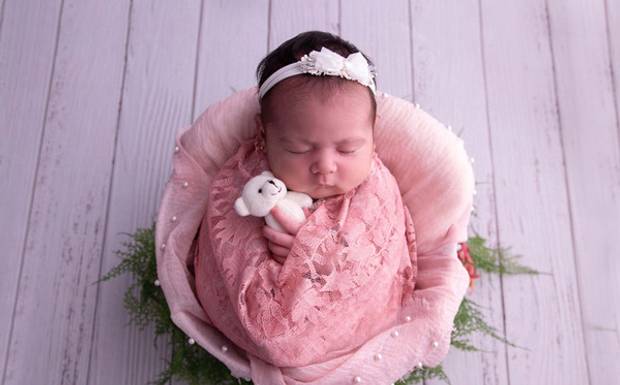 Como não se encantar com esses bebês?