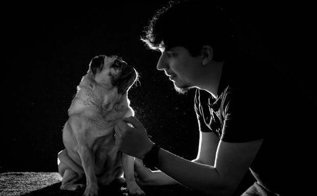 Ensaio Para Todo Sempre - Ensaio pet