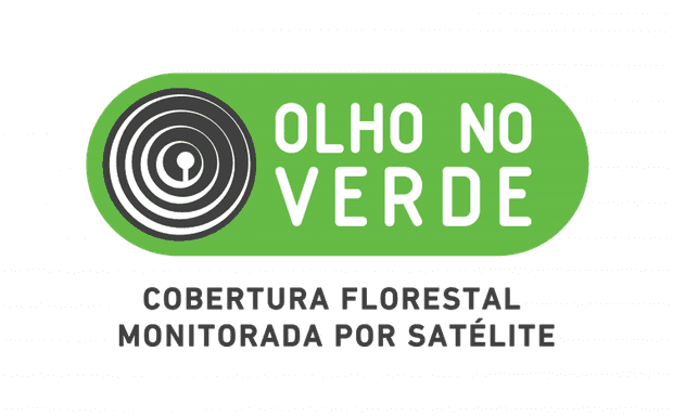 O projeto Olho no Verde promove o monitoramento sistemático dos remanescentes florestais por imagem de satélite