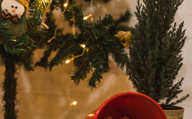 Você sente que os momentos especiais acabam passando rápido demais?