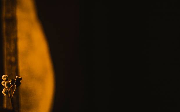 O instante que respira: por que escolhi fotografar assim