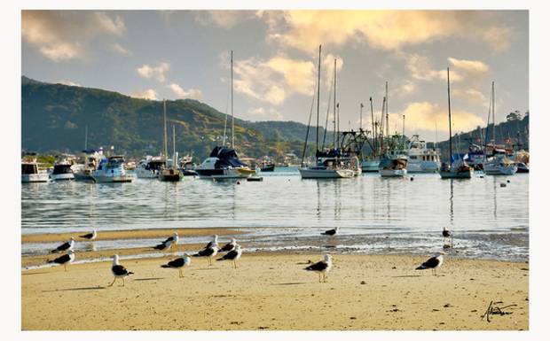 Fotografia Fine Art como conceito cultural e  investimentos