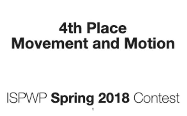 Premio pela International Society of Professional Wedding Photographers (ISPWP) 