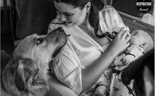 Award Winning Photography by the Inspiration Photographers collection #78 - 2026