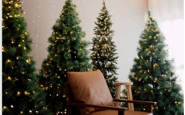 Ahhh… enfim chegou o Natal! E com ele a dúvida: quais as roupas para ensaio de Natal devo usar?