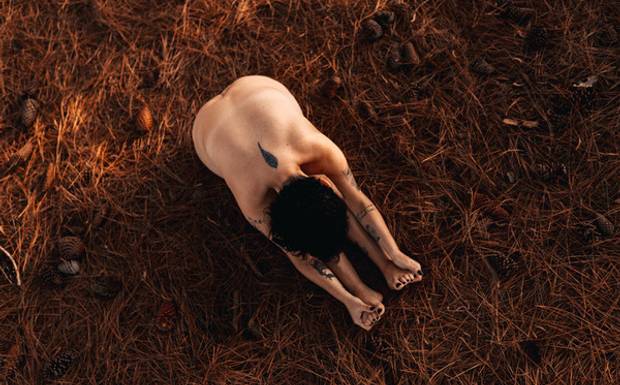 Redescobrindo a beleza nas cicatrizes da vida