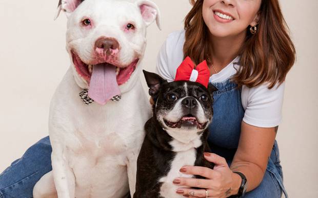 Por que fazer um ensaio pet?