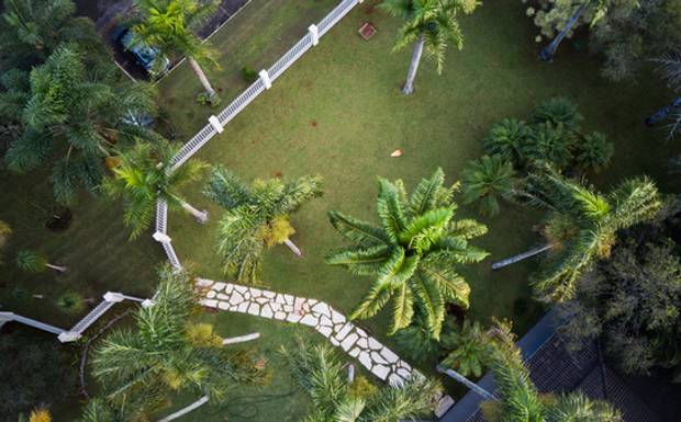 Jardim Cerrado: Um Refúgio Encantador em Brasília para Casamentos Intimistas