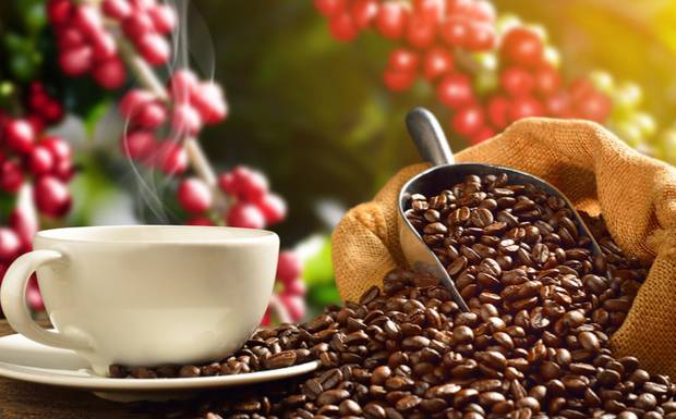 Cafés do Sul de Minas