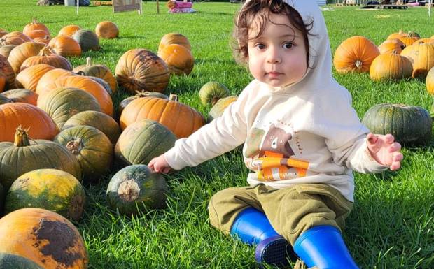 Focused Photography: Tips for Capturing Amazing Moments with Your Smartphone