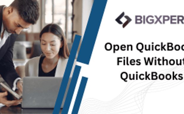 Exploring Options to Open QBW File Without QuickBooks