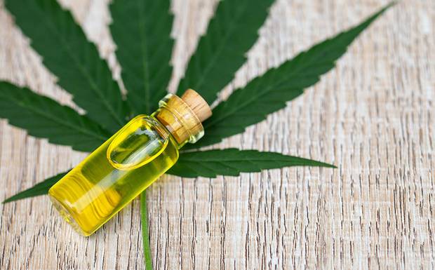 CBD SEO Agency Details